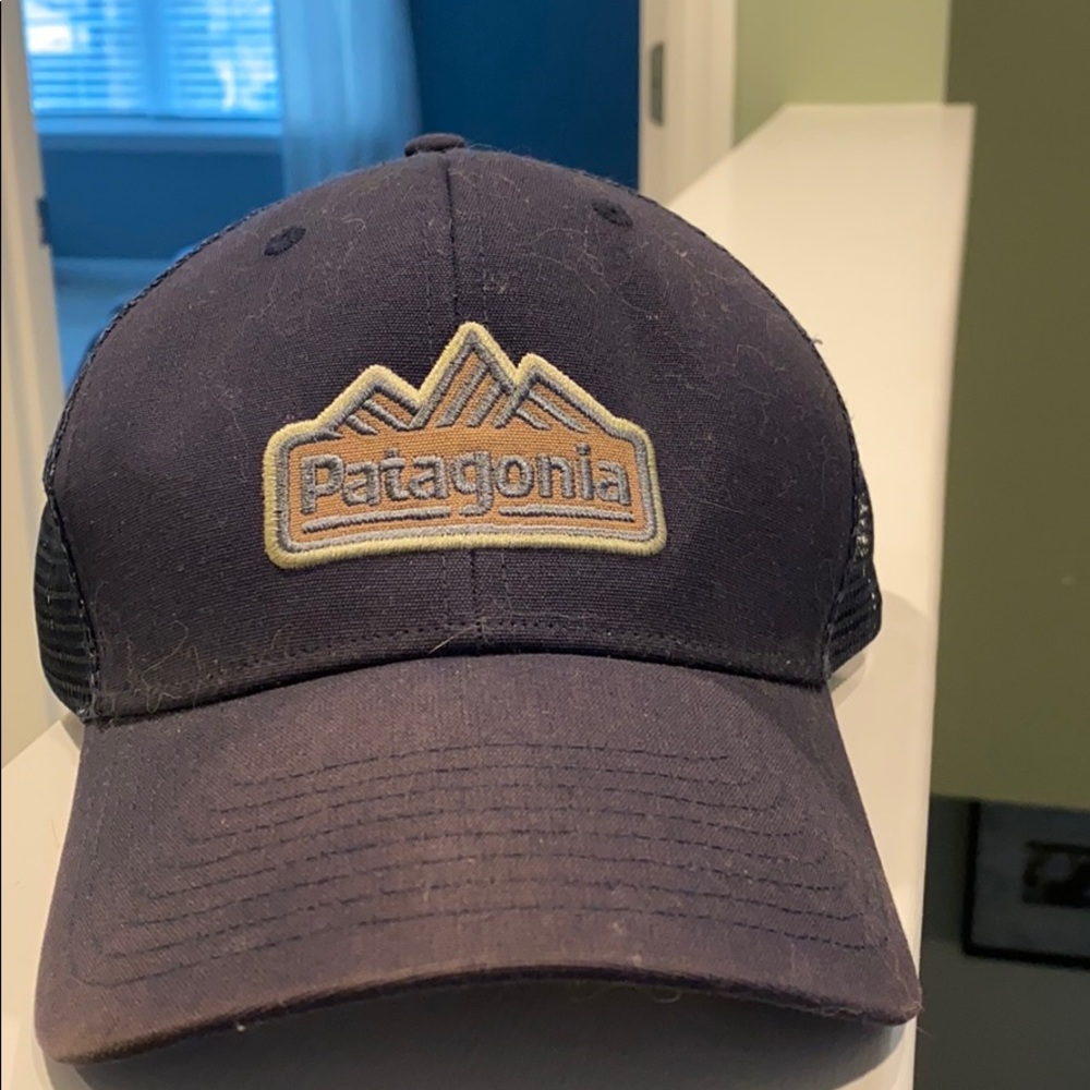Patagonia Trucker Hat